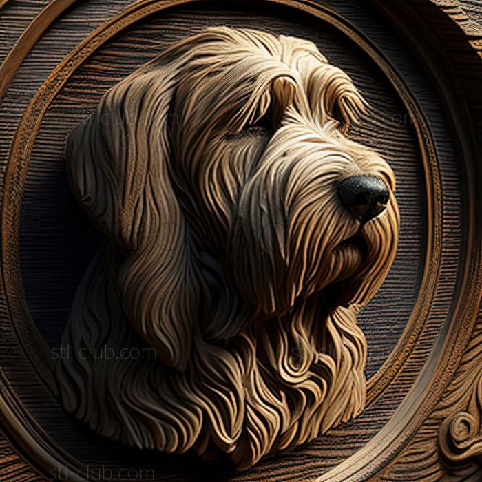 st Otterhound dog